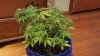20160106_225731.jpg