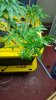 20160115_152822.jpg