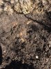 re using bas soil.jpg