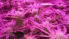 20160210_190507.jpg