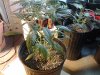 20160213_043918.jpg