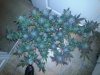 20160216_181242.jpg
