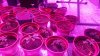 20160217_171557.jpg