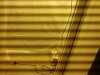 DSC00278.jpg