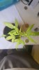 20160224_104230.jpg
