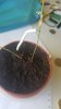 20160224_104304.jpg