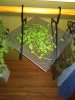 IMG_20160304_184248.jpg