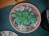 20160310_201806.jpg