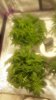 20160320_134704.jpg