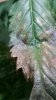 20160325_000035.jpg