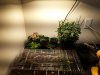 20160326_134932.jpg