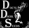 DDS_Skunk_logo.jpg