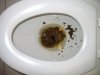 Poop-7-19-05.jpg
