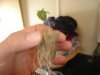 DSC00326.jpg