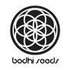 bodhi_seeds[1].png