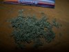 new stuff garden 131.jpg