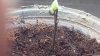 20160429_070747.jpg