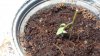 20160429_140805.jpg