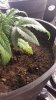 20160429_065418.jpg