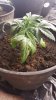 20160429_065411.jpg