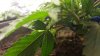 20160429_064029.jpg