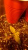 20160502_221359.jpg