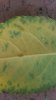20160508_102015.jpg