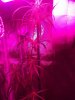 20160513_234509.jpg