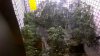 WP_20160522_19_38_45_Pro.jpg