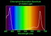 ChlorophyllAbsorption.jpg