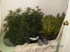 Grow Closet 037.jpg