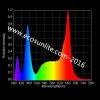 Spectrum of ecosunlite_副本.jpg