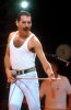 a97978_FreddieMercury.jpg