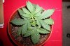 100_0894.jpg