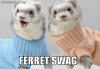 Swag+i+got+some+ferret+swag_aaea4e_4594504.png