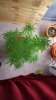 20160621_114658.jpg