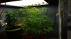20160621_115524.jpg