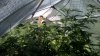WP_20160703_11_42_40_Pro_LI.jpg