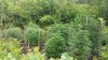 20160709_074917.jpg