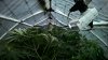 WP_20160711_21_18_27_Pro_LI.jpg