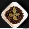 coffee-weed-1.jpg