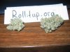 budpics 040.jpg