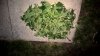 WP_20160712_21_49_25_Pro_LI.jpg