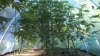 WP_20160713_09_41_12_Pro_LI.jpg