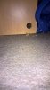 WP_20160727_15_47_24_Pro.jpg