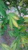 IMG_20160727_195655447.jpg