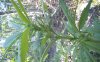 KINDLE_CAMERA_1467743040000.jpg