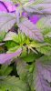 20160811_225834.jpg
