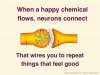 happy-brain-chemicals-dopamine-serotonin-oxytocin-and-endorphin-6-638.jpg