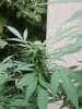 20160911_094803.jpg